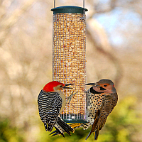 Peanut Bird Feeders